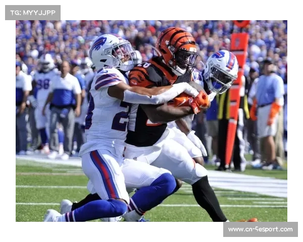 爱国者客场击败猛虎，保持季后赛希望